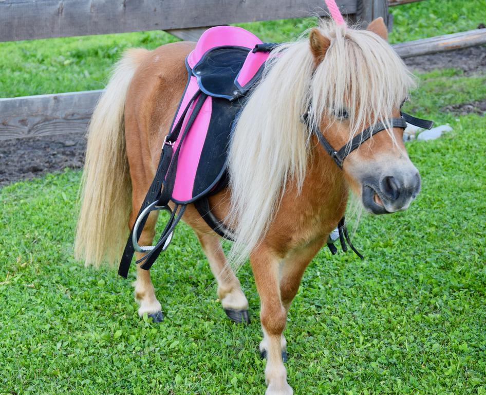 Appartamento Albeinelerhof Arzl im Pitztal Esterno foto
